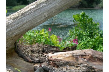 Slovakija Chata Vojka nad Dunajom, Eksterjeras